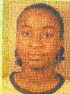 Olufikayo Semire Adetunji (2006) Olufikayo Semire Adetunji (2006)